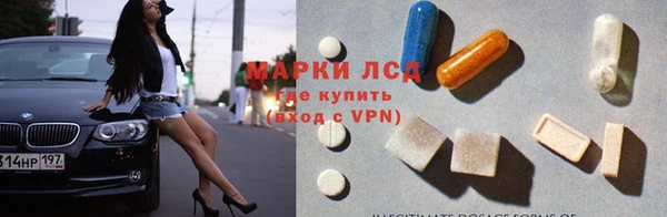 стаф Верея