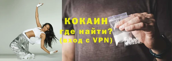 стаф Верея