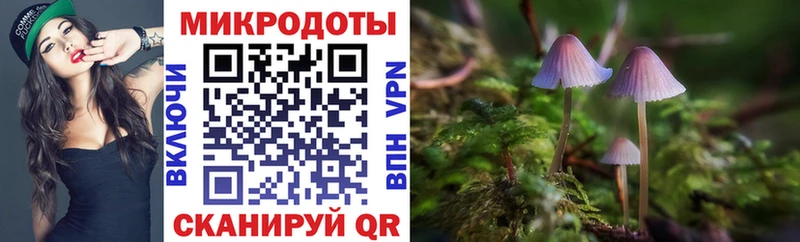 Галлюциногенные грибы Magic Shrooms  блэк спрут рабочий сайт  Катайск 